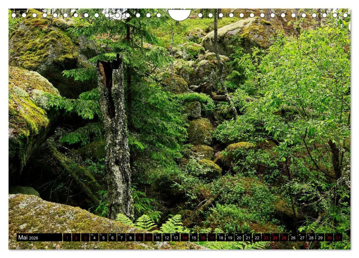 Bild: 9783457940662 | Tiveden, der NatURWALD in Schweden (Wandkalender 2026 DIN A4 quer),...