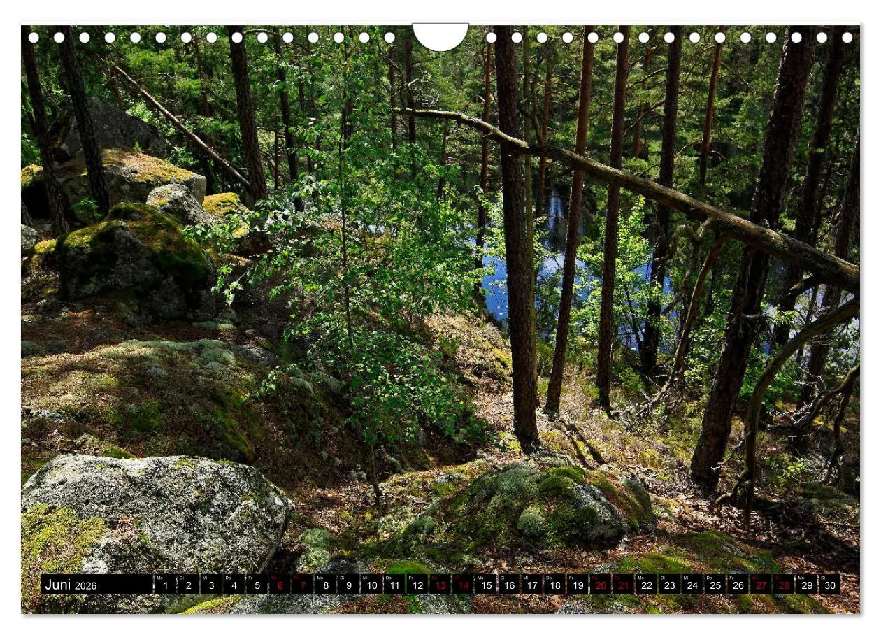 Bild: 9783457940662 | Tiveden, der NatURWALD in Schweden (Wandkalender 2026 DIN A4 quer),...