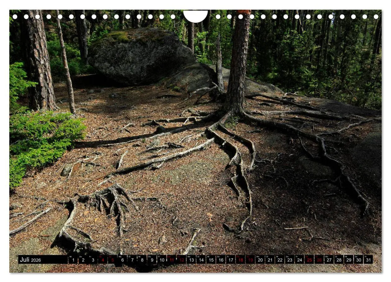 Bild: 9783457940662 | Tiveden, der NatURWALD in Schweden (Wandkalender 2026 DIN A4 quer),...