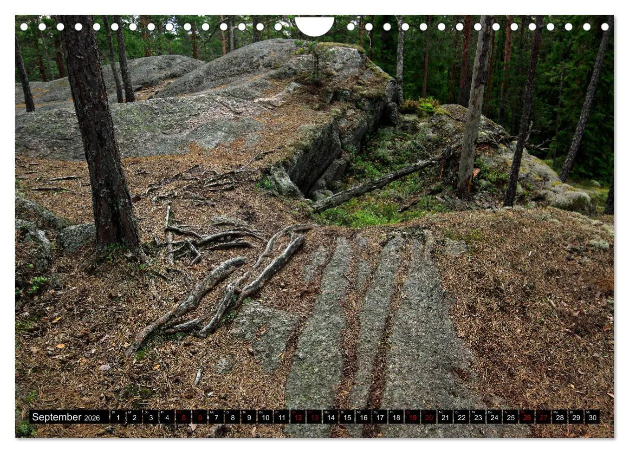 Bild: 9783457940662 | Tiveden, der NatURWALD in Schweden (Wandkalender 2026 DIN A4 quer),...