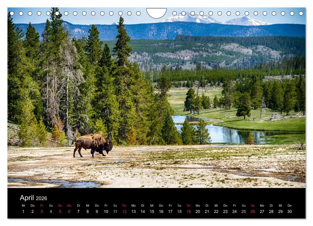 Bild: 9783516100662 | Traumziele in den USA. Der Yellowstone National Park (Wandkalender...
