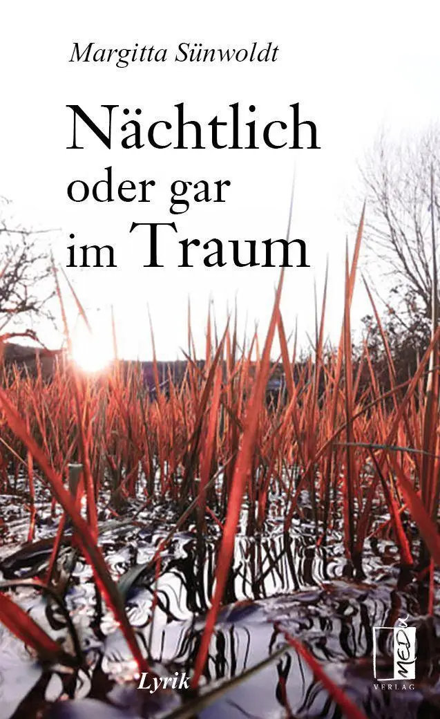 Cover: 9783963520662 | Nächtlich oder gar im Traum | Margitta Sünwoldt | Buch | 40 S. | 2021