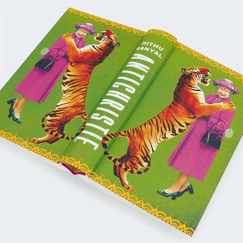 Bild: 9783446280762 | Antichristie | Roman | Mithu Sanyal | Buch | 544 S. | Deutsch | 2024