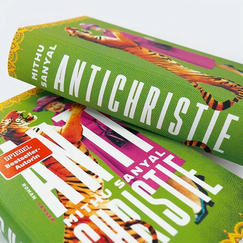 Bild: 9783446280762 | Antichristie | Roman | Mithu Sanyal | Buch | 544 S. | Deutsch | 2024