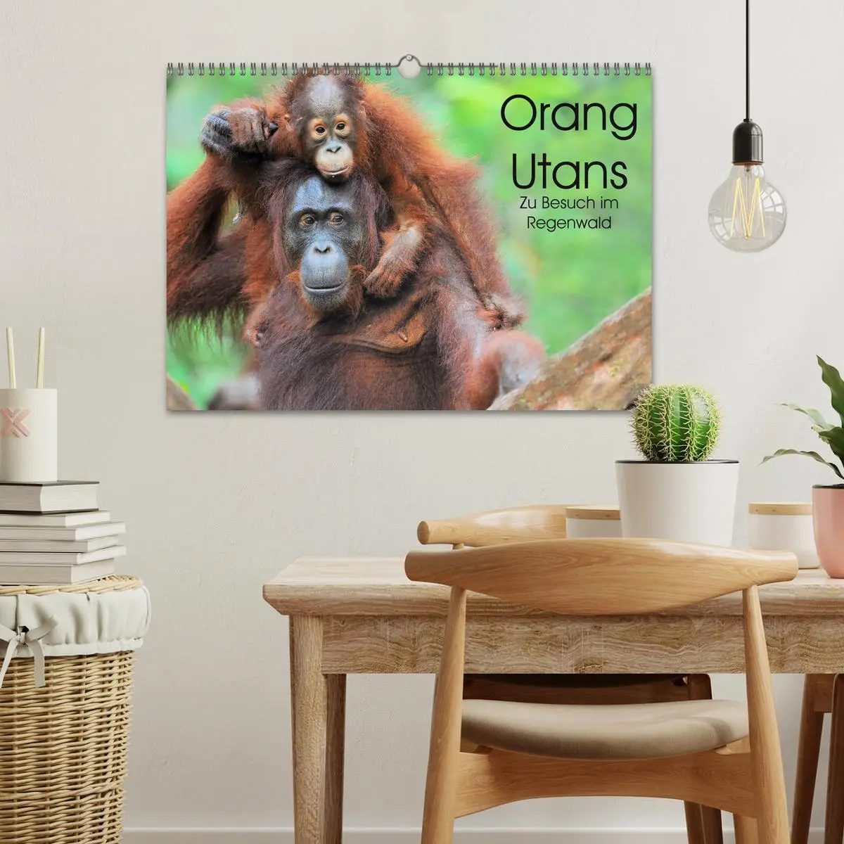 Bild: 9783457790762 | Orang Utans: Zu Besuch im Regenwald (Wandkalender 2026 DIN A3...