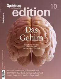 Cover: 9783690410762 | Spektrum edition Nr. 10 - Das Gehirn | Spektrum der Wissenschaft