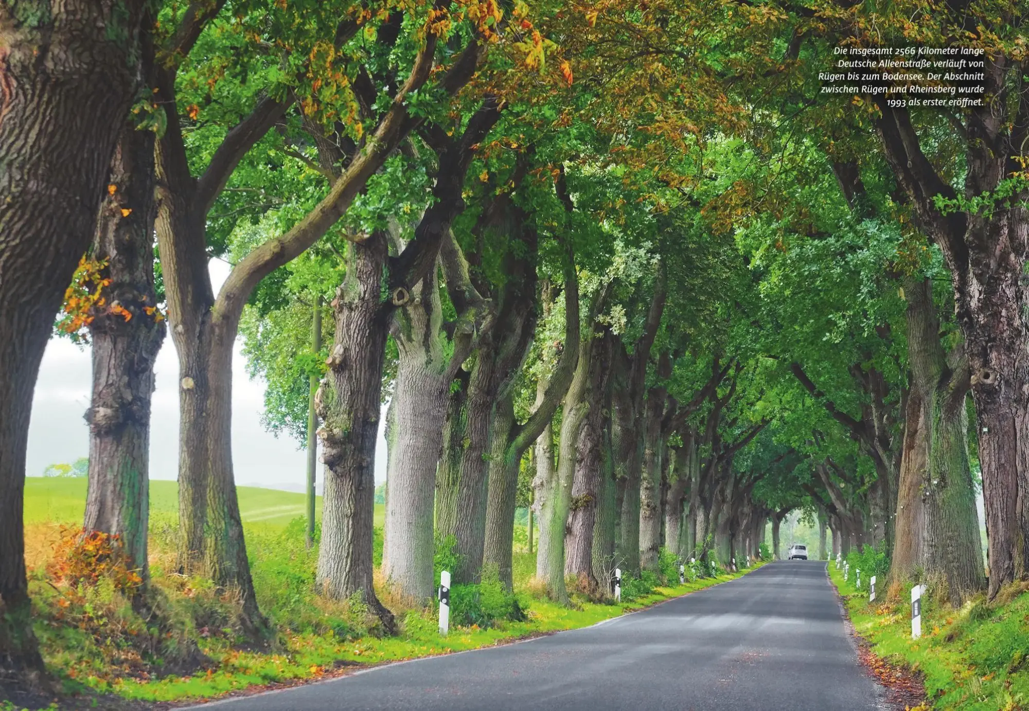 Bild: 9783986450762 | ADAC Roadtrips Mecklenburg-Vorpommern mit Ostseeküste | Katja Gartz