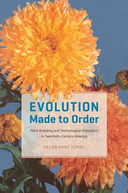 Cover: 9780226790862 | Evolution Made to Order | Helen Anne Curry | Taschenbuch | Englisch