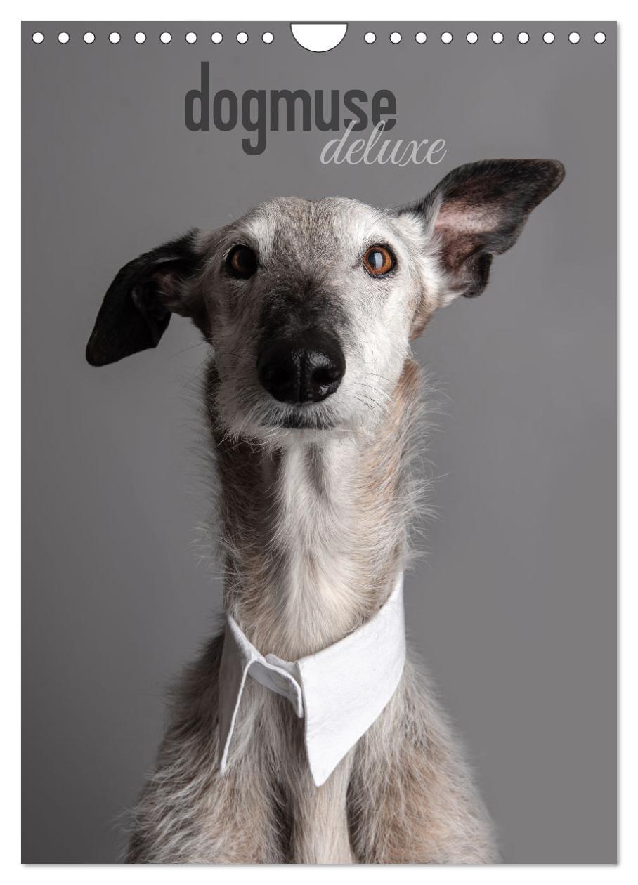 Cover: 9783457230862 | dogmuse deluxe (Wandkalender 2025 DIN A4 hoch), CALVENDO...