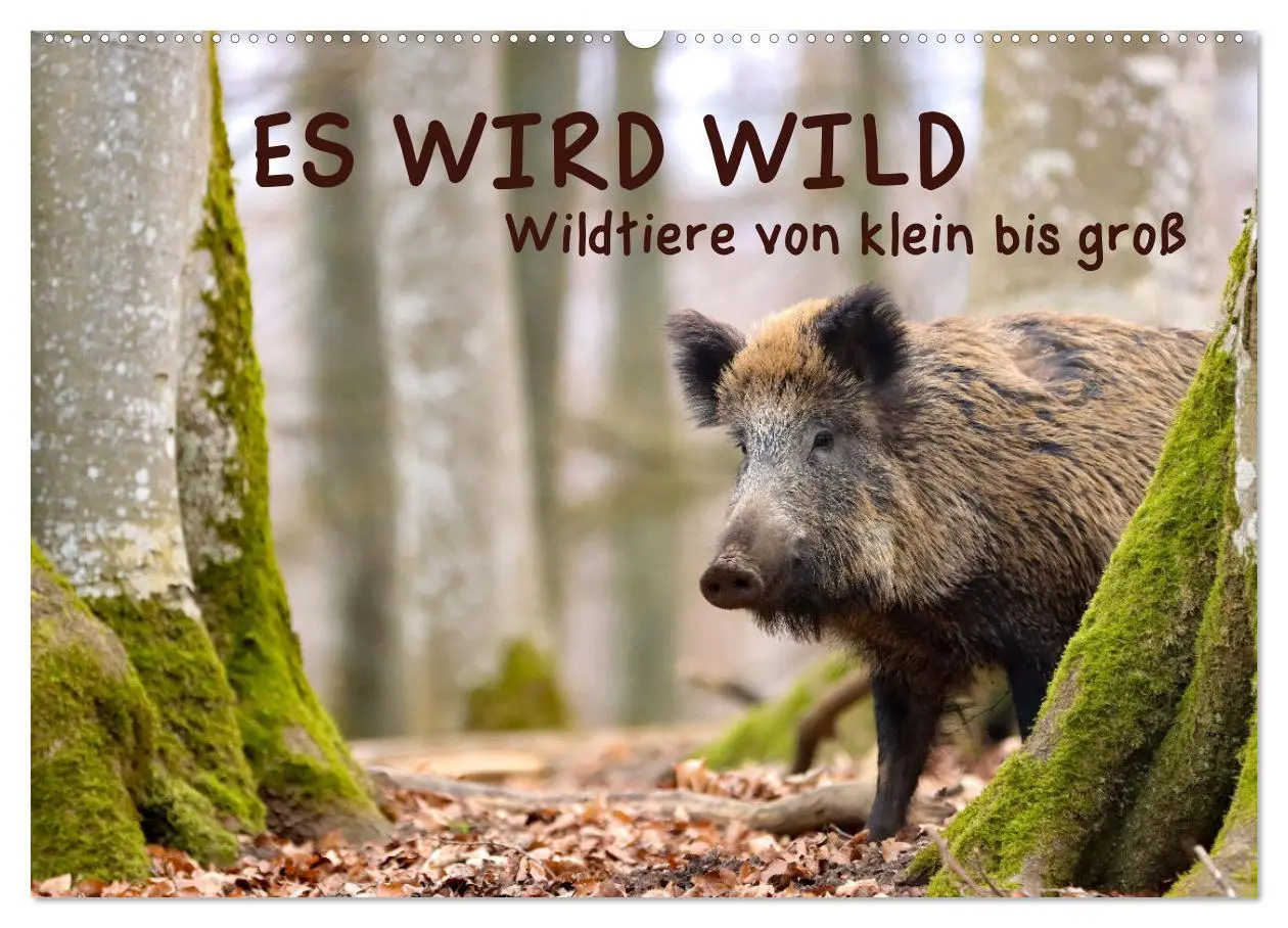 Cover: 9783457600962 | ES WIRD WILD Wildtiere von klein bis groß (Wandkalender 2026 DIN A2...