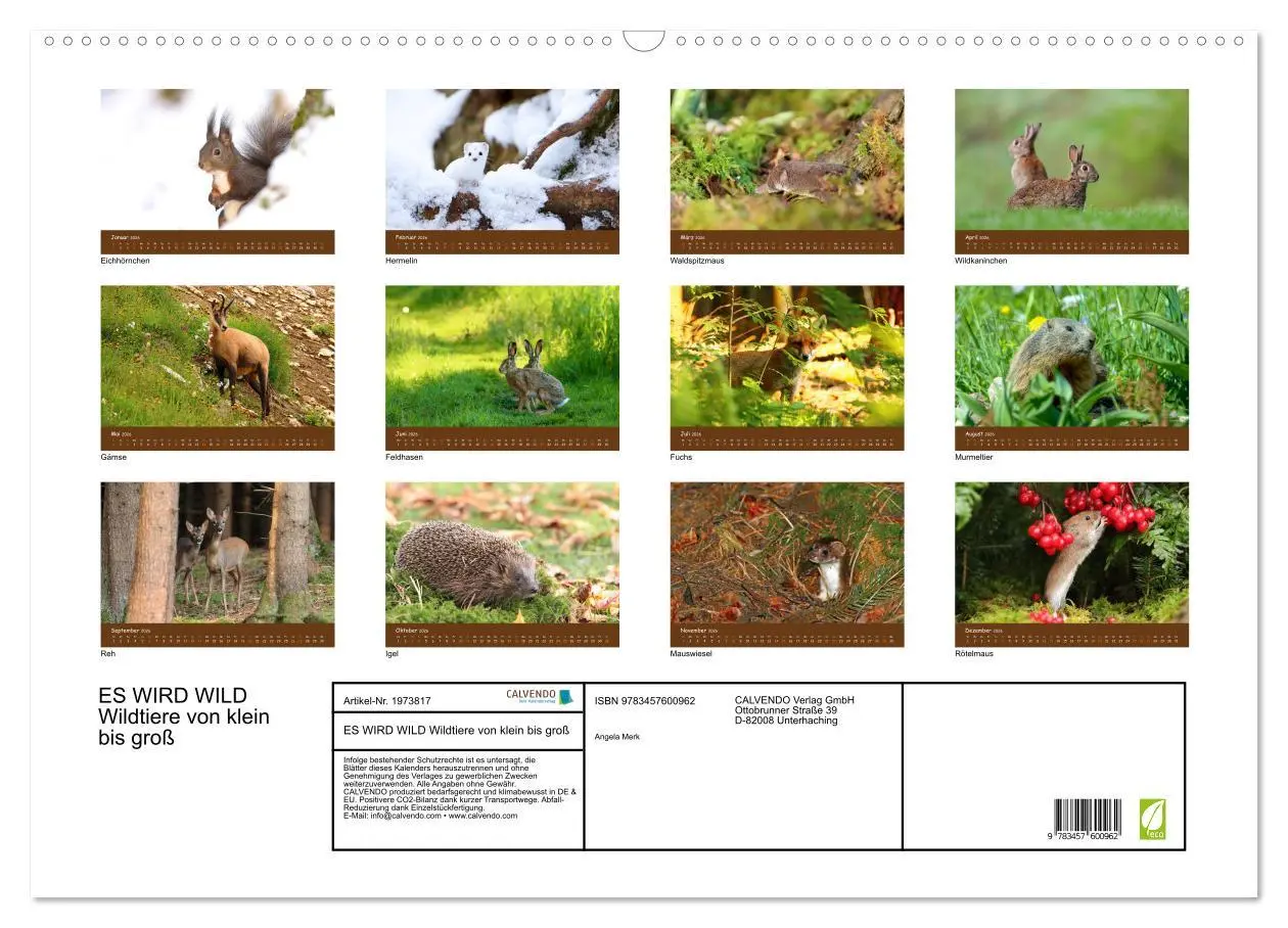 Bild: 9783457600962 | ES WIRD WILD Wildtiere von klein bis groß (Wandkalender 2026 DIN A2...