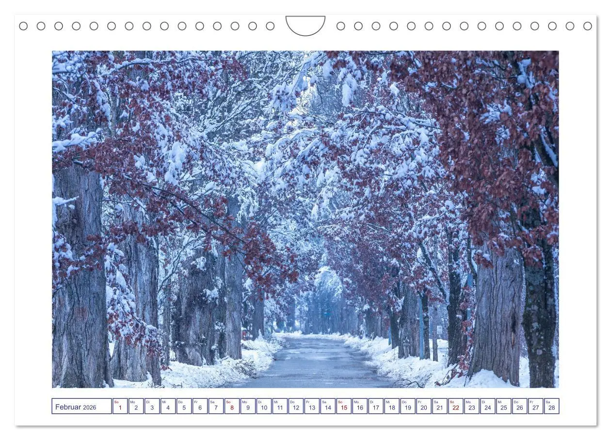 Bild: 9783457910962 | Radolfzell am schönen Bodensee (Wandkalender 2026 DIN A4 quer),...