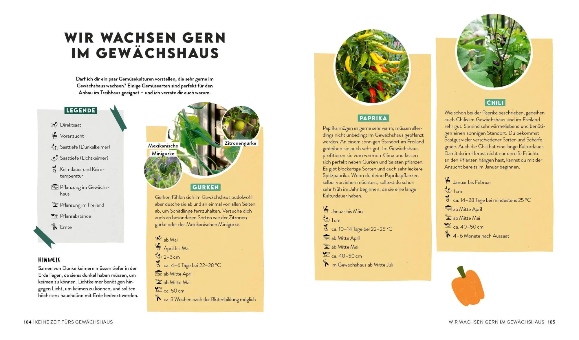 Bild: 9783745930962 | Keine Zeit zu gärtnern - Gemüse länger ernten in Gewächshaus,...