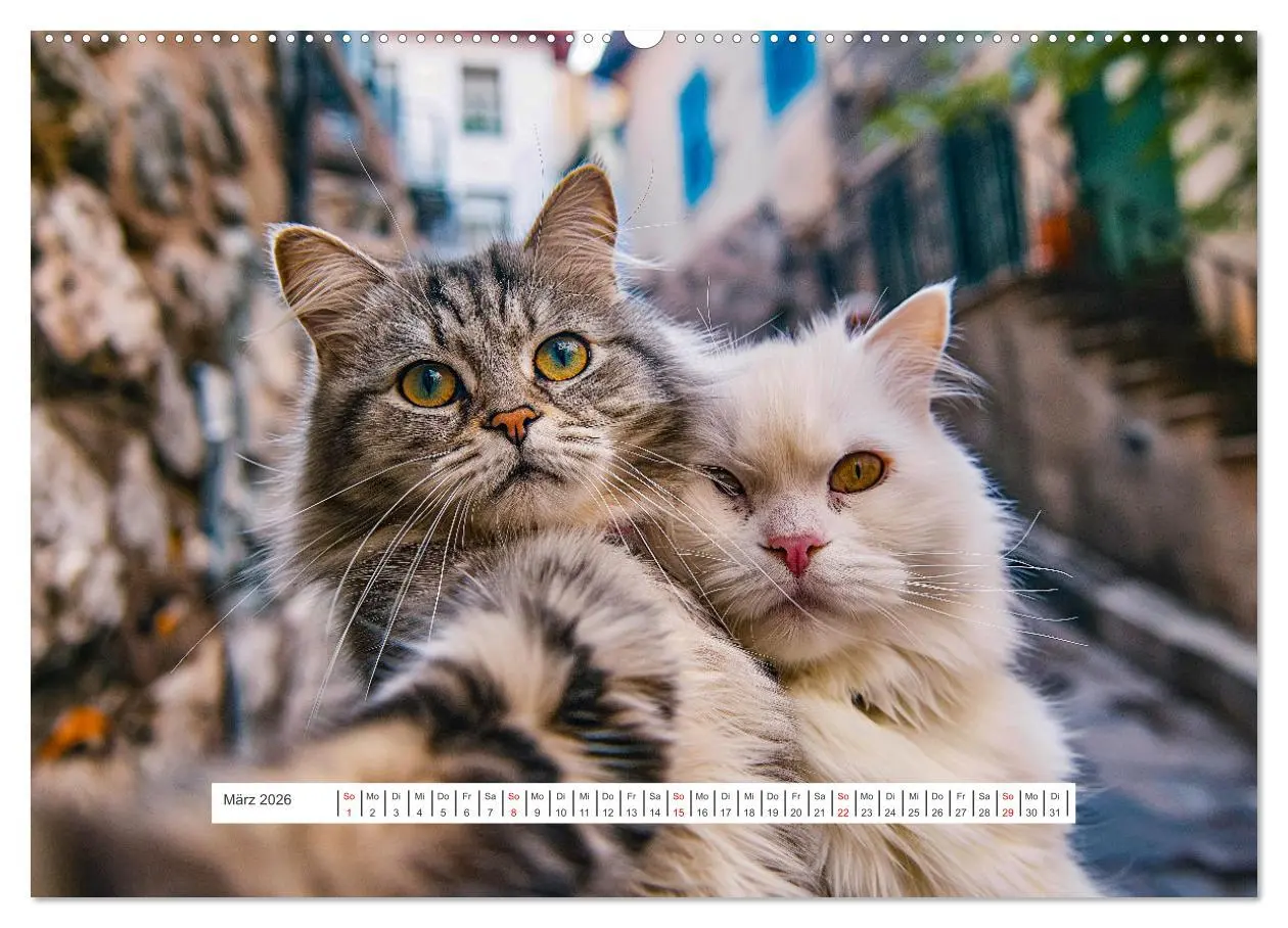 Bild: 9783457421062 | Tier Selfies (hochwertiger Premium Wandkalender 2026 DIN A2 quer),...