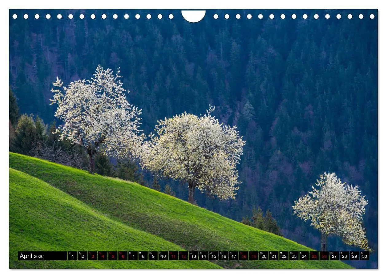 Bild: 9783457661062 | Alpen - Schweiz und Vorarlberg (Wandkalender 2026 DIN A4 quer),...