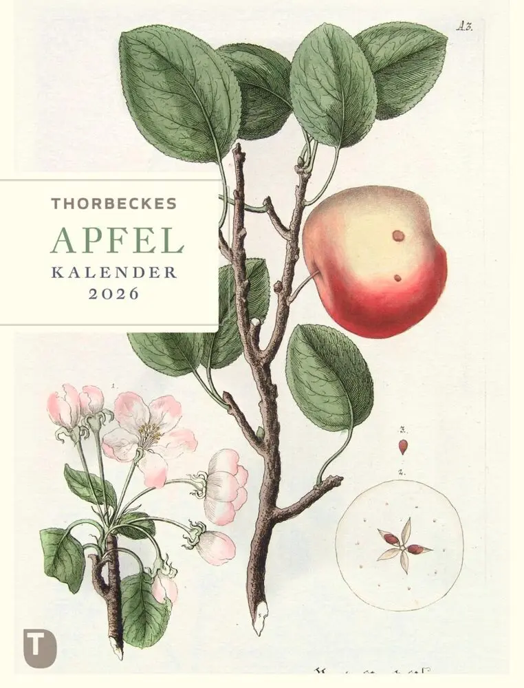 Cover: 9783799521062 | Thorbeckes Apfel-Kalender 2026 | Kalender | 56 S. | Deutsch | 2026