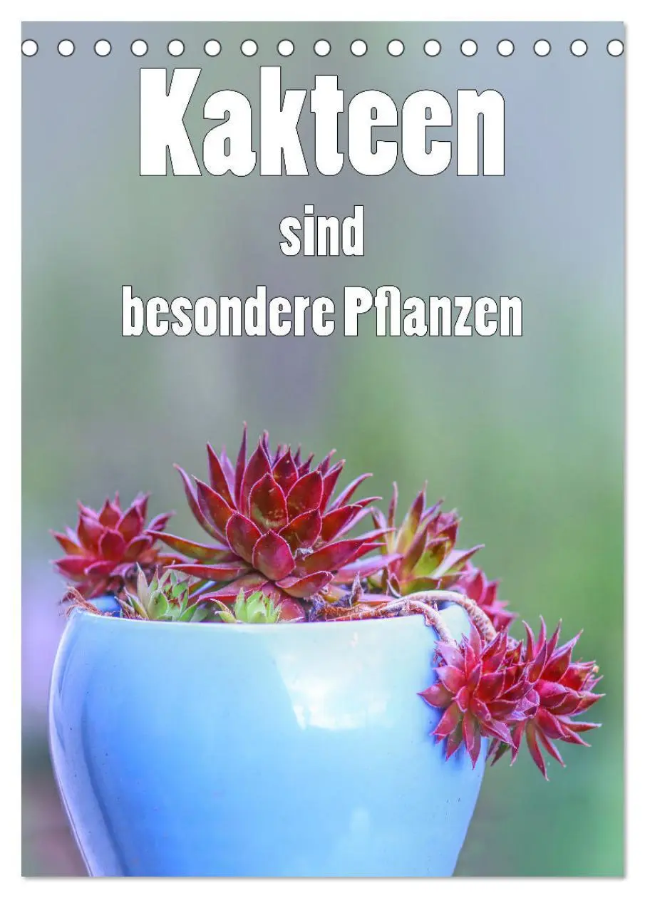 Cover: 9783516361162 | Kakteen sind besondere Pflanzen (Tischkalender 2026 DIN A5 hoch),...
