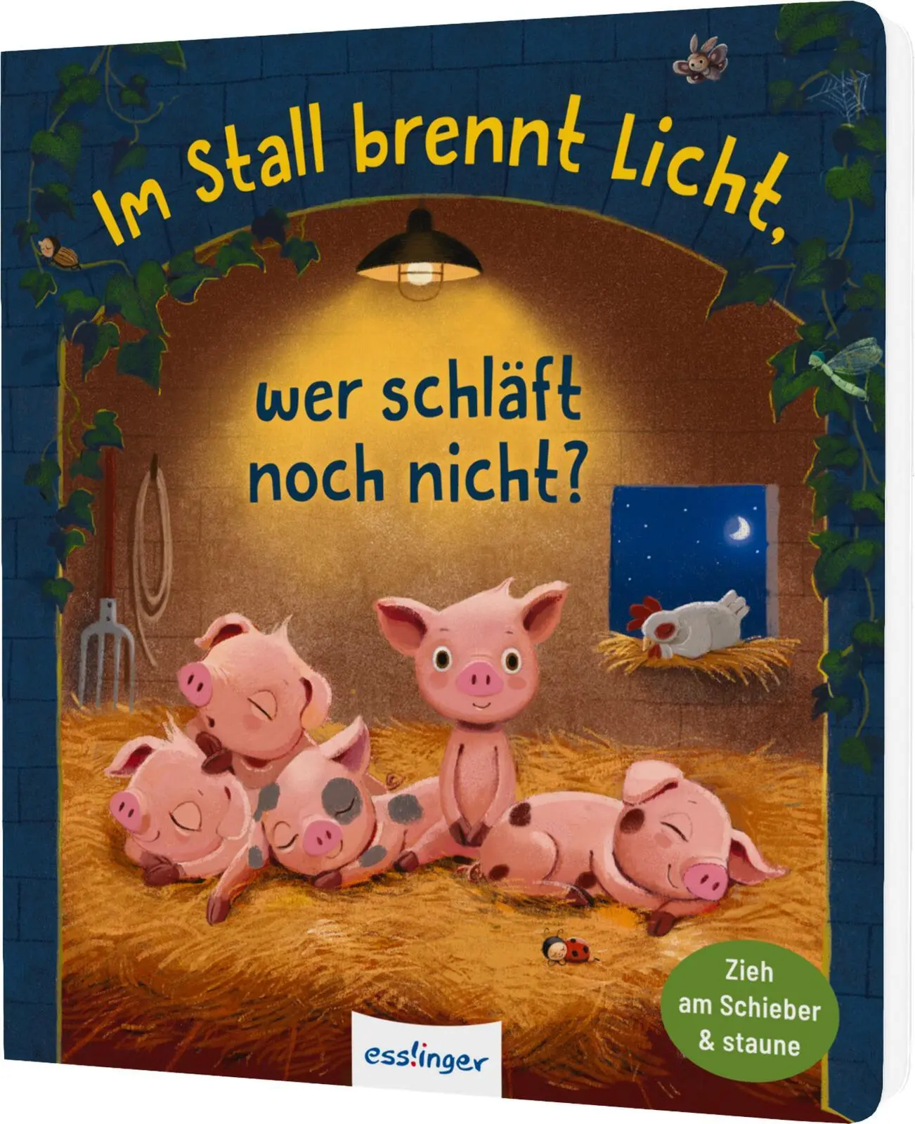 Cover: 9783480241262 | Im Stall brennt Licht, wer schläft noch nicht? | Anja Kiel | Buch