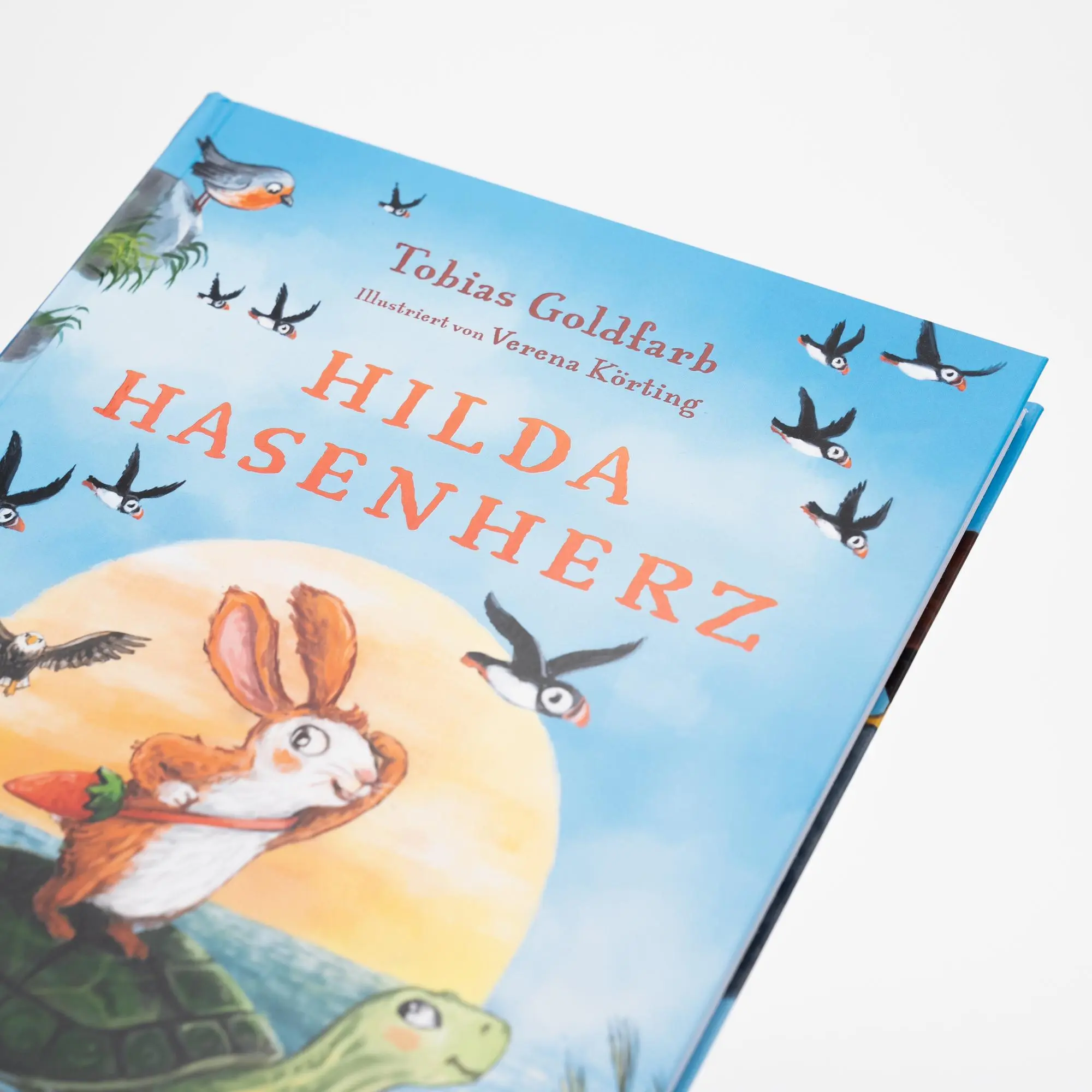 Bild: 9783505151262 | Hilda Hasenherz. Das Abenteuer auf der Adlerinsel (Hilda Hasenherz 2)