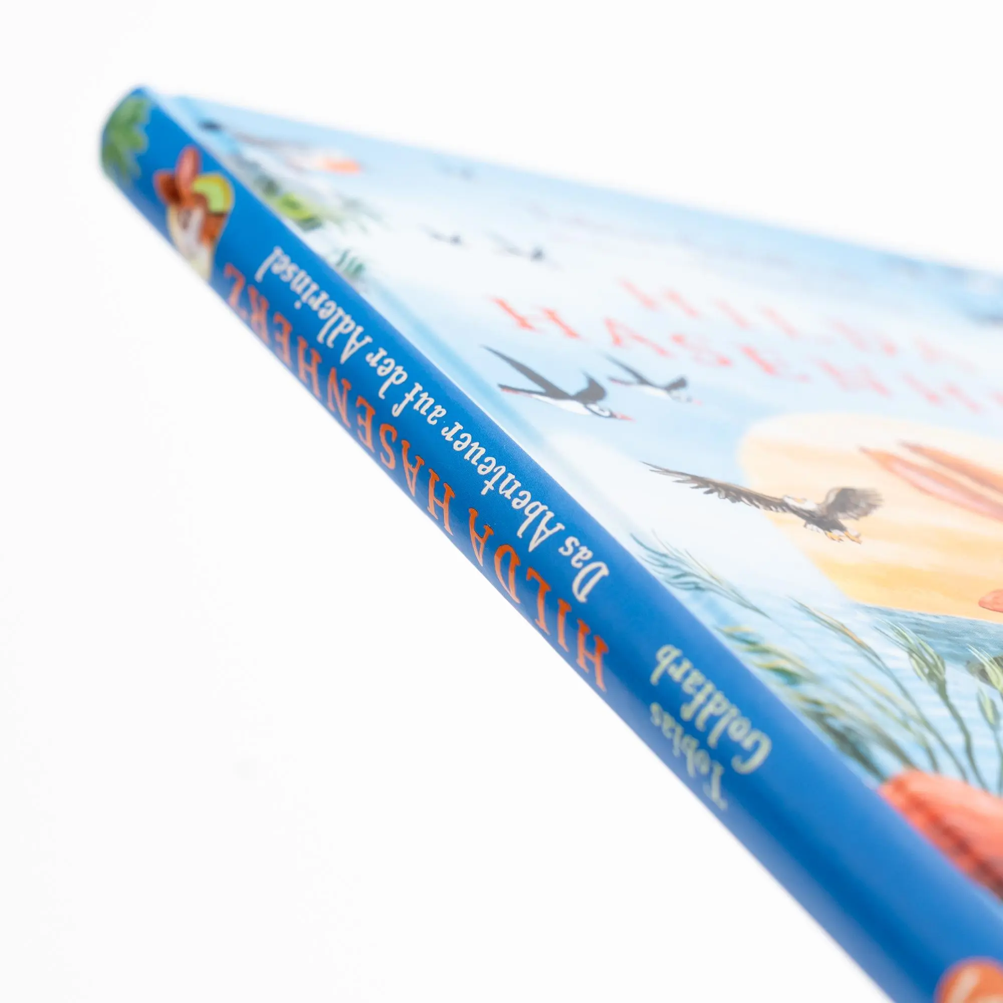 Bild: 9783505151262 | Hilda Hasenherz. Das Abenteuer auf der Adlerinsel (Hilda Hasenherz 2)