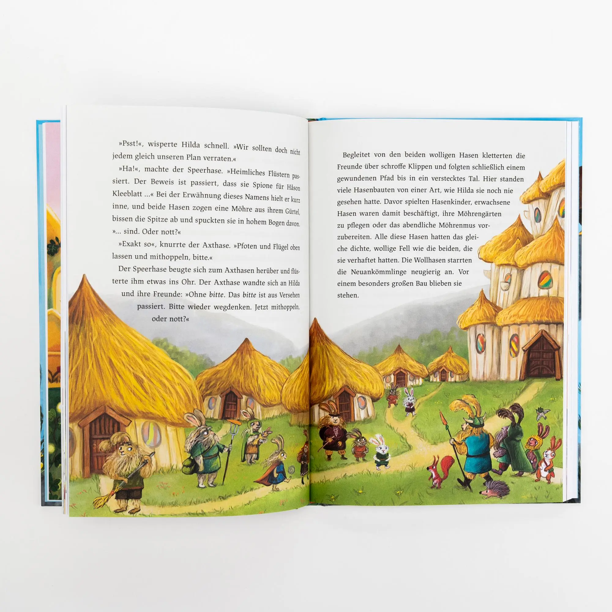Bild: 9783505151262 | Hilda Hasenherz. Das Abenteuer auf der Adlerinsel (Hilda Hasenherz 2)