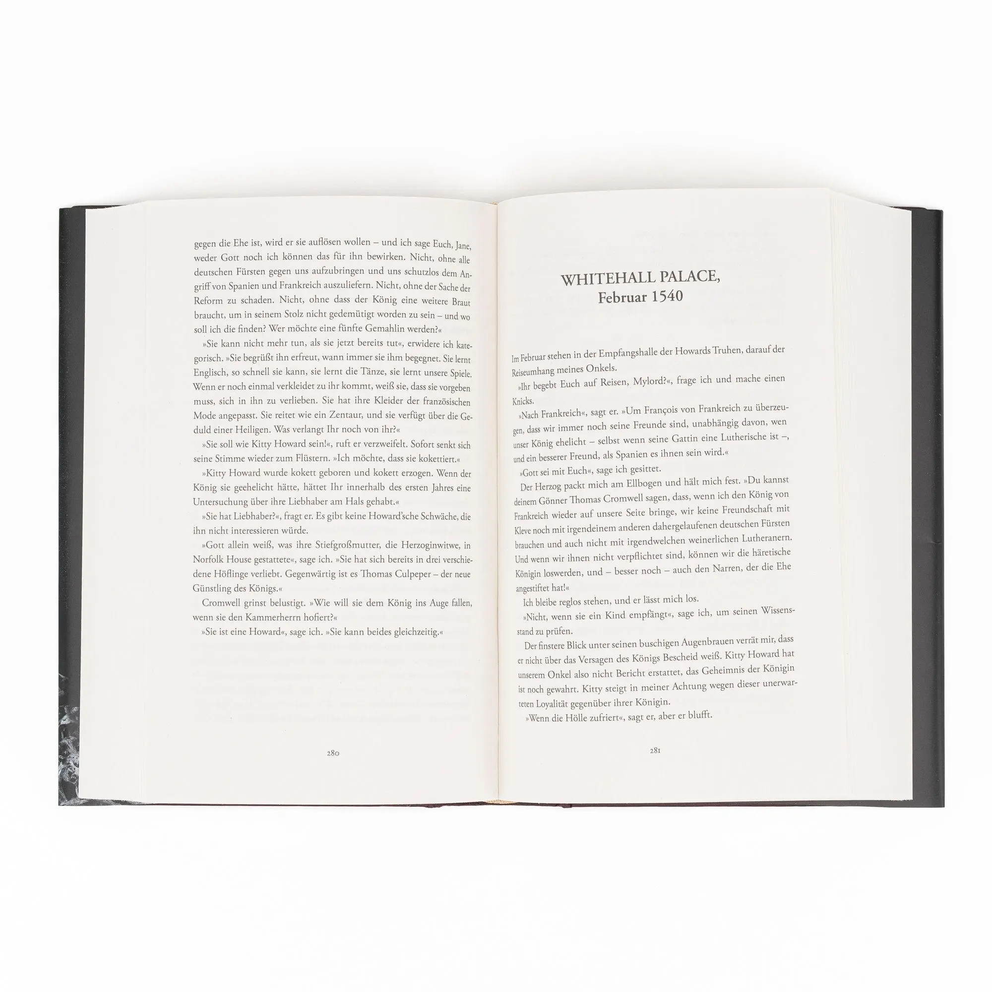 Bild: 9783365011362 | Der letzte Verrat der Boleyns | Philippa Gregory | Buch | 560 S.