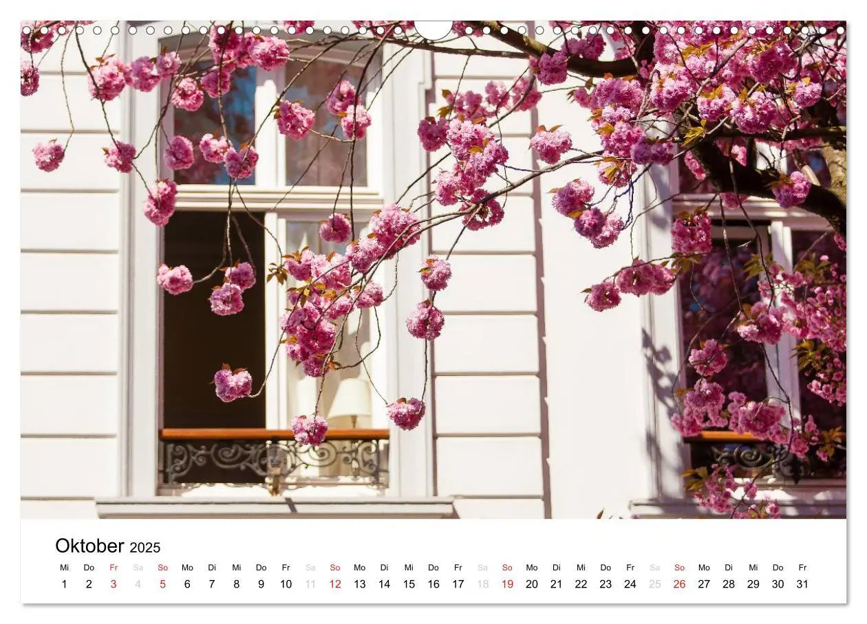 Bild: 9783435611362 | Bonn - Kirschblütenfest in der Altstadt (Wandkalender 2025 DIN A3...