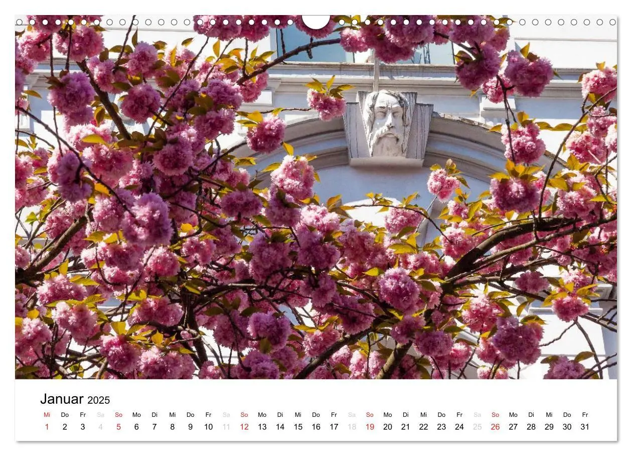 Bild: 9783435611362 | Bonn - Kirschblütenfest in der Altstadt (Wandkalender 2025 DIN A3...