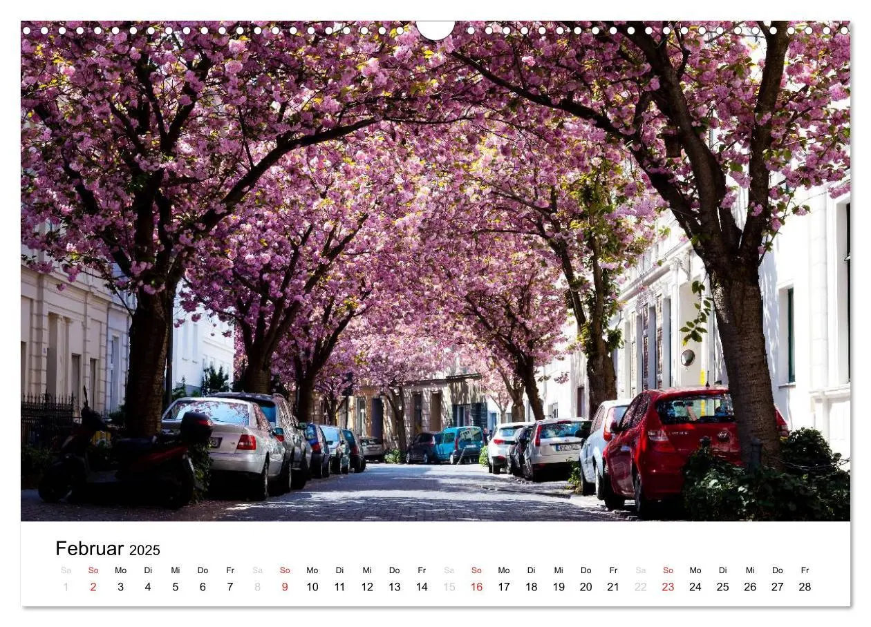 Bild: 9783435611362 | Bonn - Kirschblütenfest in der Altstadt (Wandkalender 2025 DIN A3...