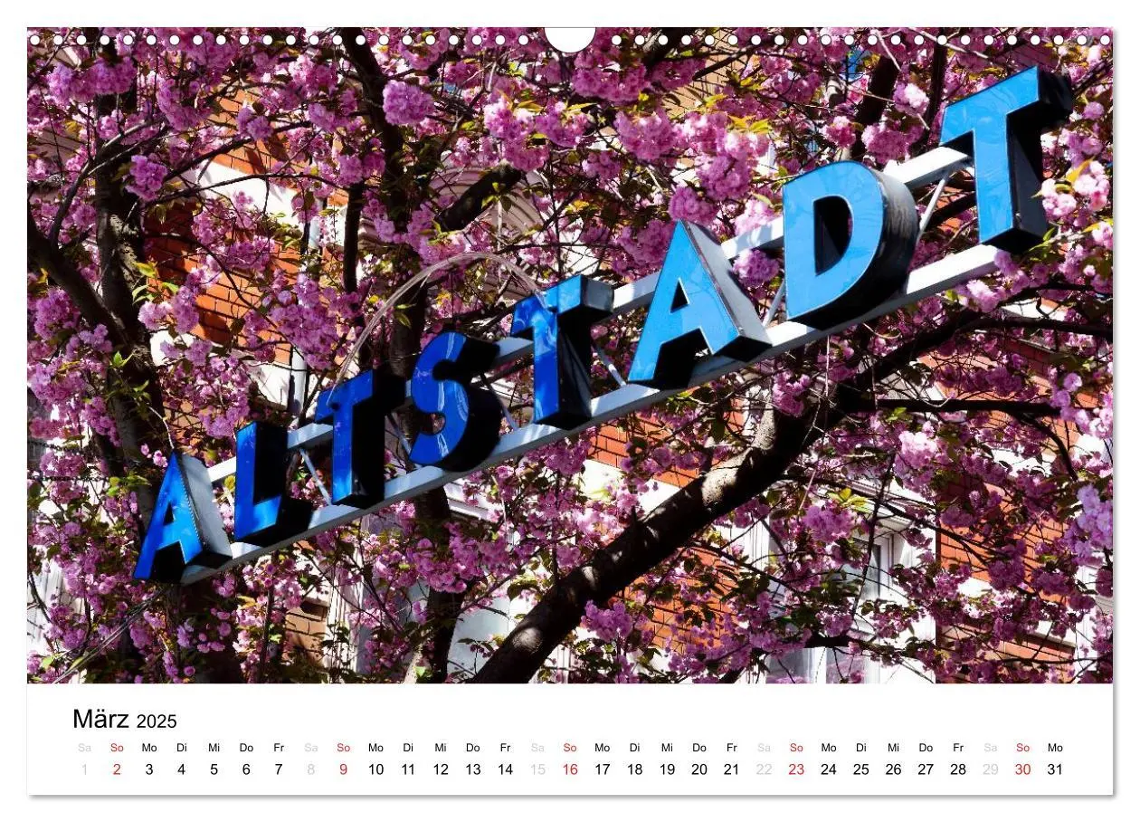 Bild: 9783435611362 | Bonn - Kirschblütenfest in der Altstadt (Wandkalender 2025 DIN A3...