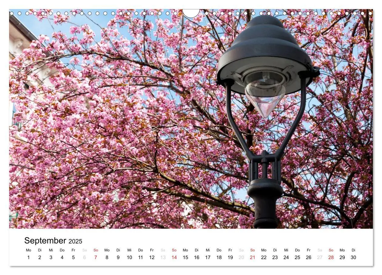 Bild: 9783435611362 | Bonn - Kirschblütenfest in der Altstadt (Wandkalender 2025 DIN A3...