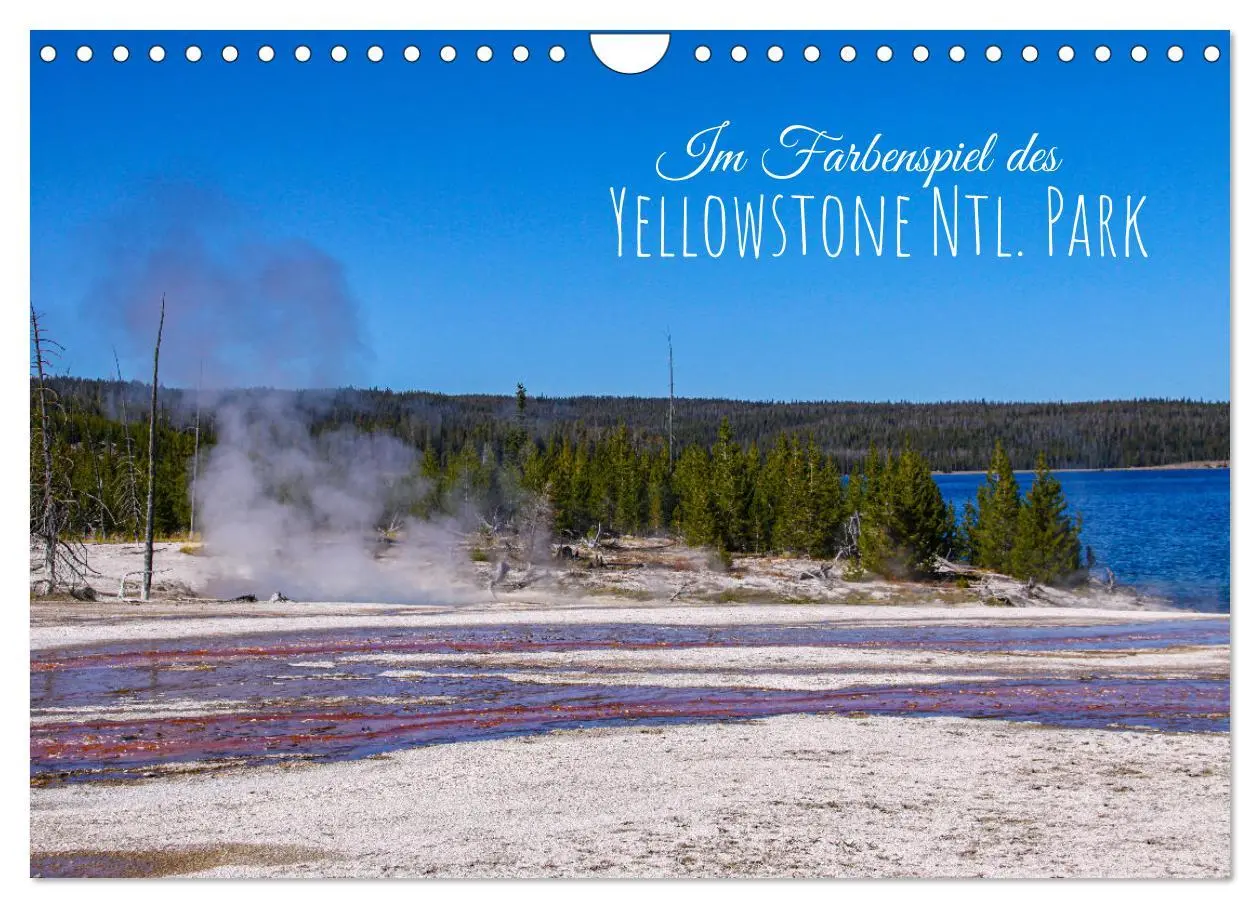 Cover: 9783457631362 | Im Farbenspiel des Yellowstone Natl. Park (Wandkalender 2026 DIN A4...