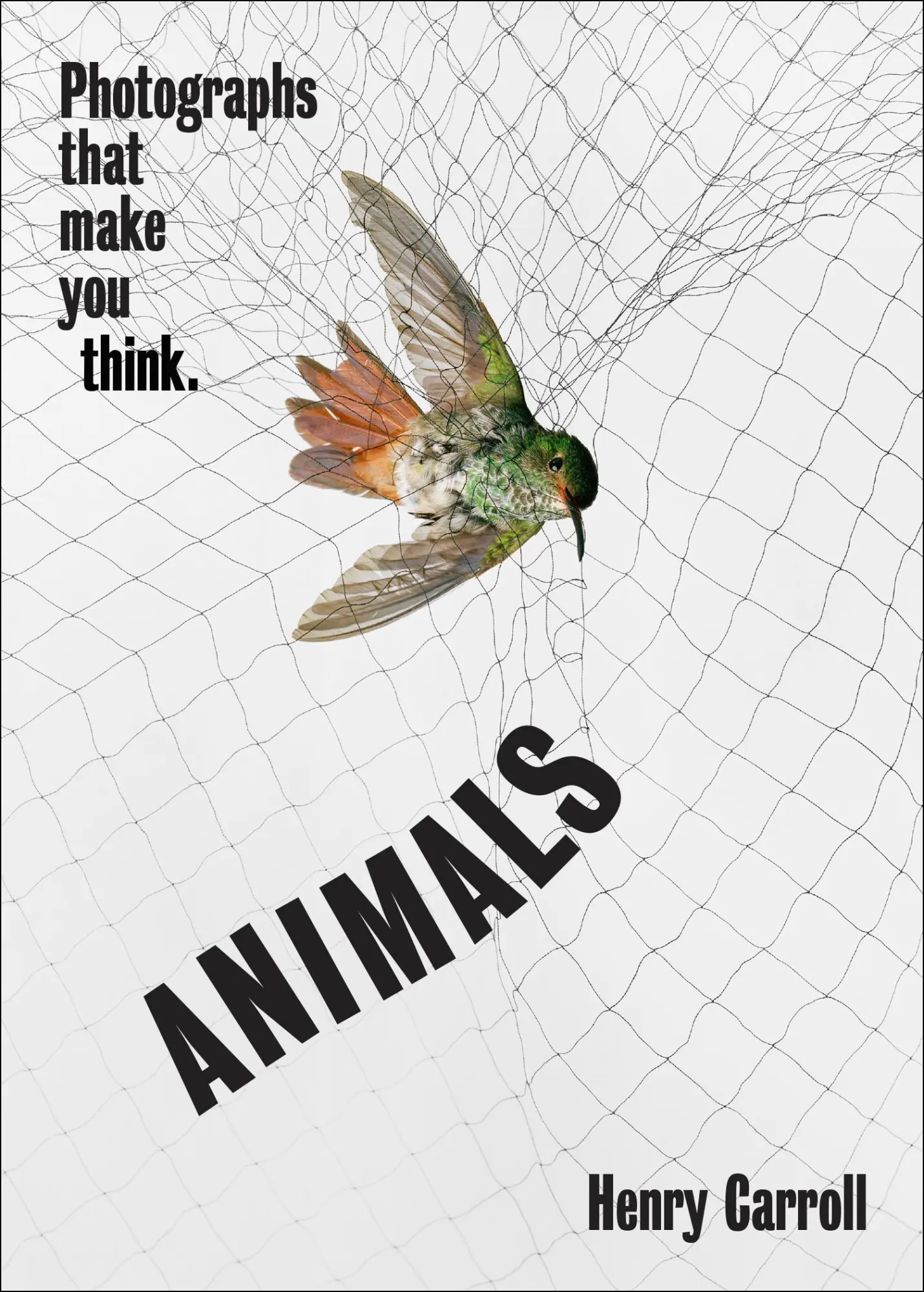 Cover: 9781419751462 | Animals | Photographs That Make You Think | Henry Carroll | Buch