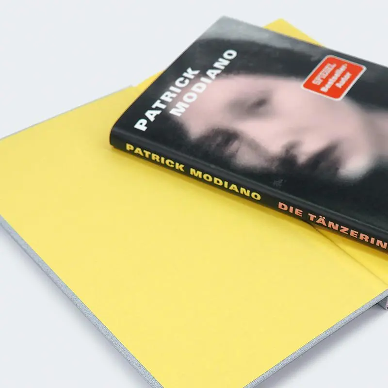 Bild: 9783446281462 | Die Tänzerin | Roman | Patrick Modiano | Buch | 96 S. | Deutsch | 2025
