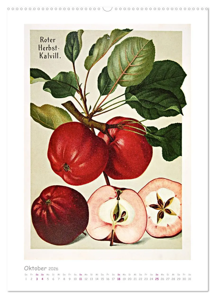 Bild: 9783516401462 | Äpfel/Appels. Alte ostfriesische Sorten (hochwertiger Premium...