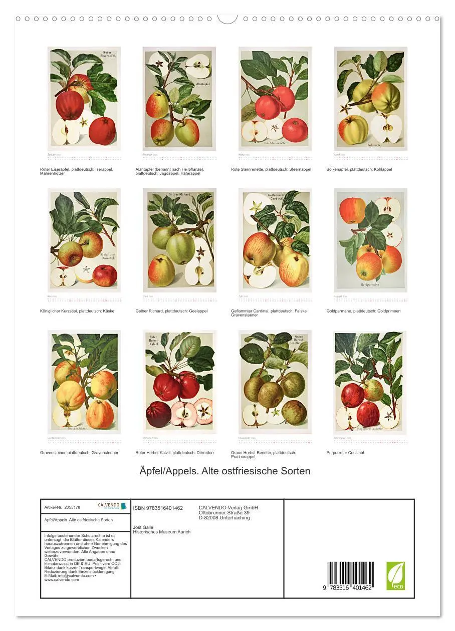 Bild: 9783516401462 | Äpfel/Appels. Alte ostfriesische Sorten (hochwertiger Premium...