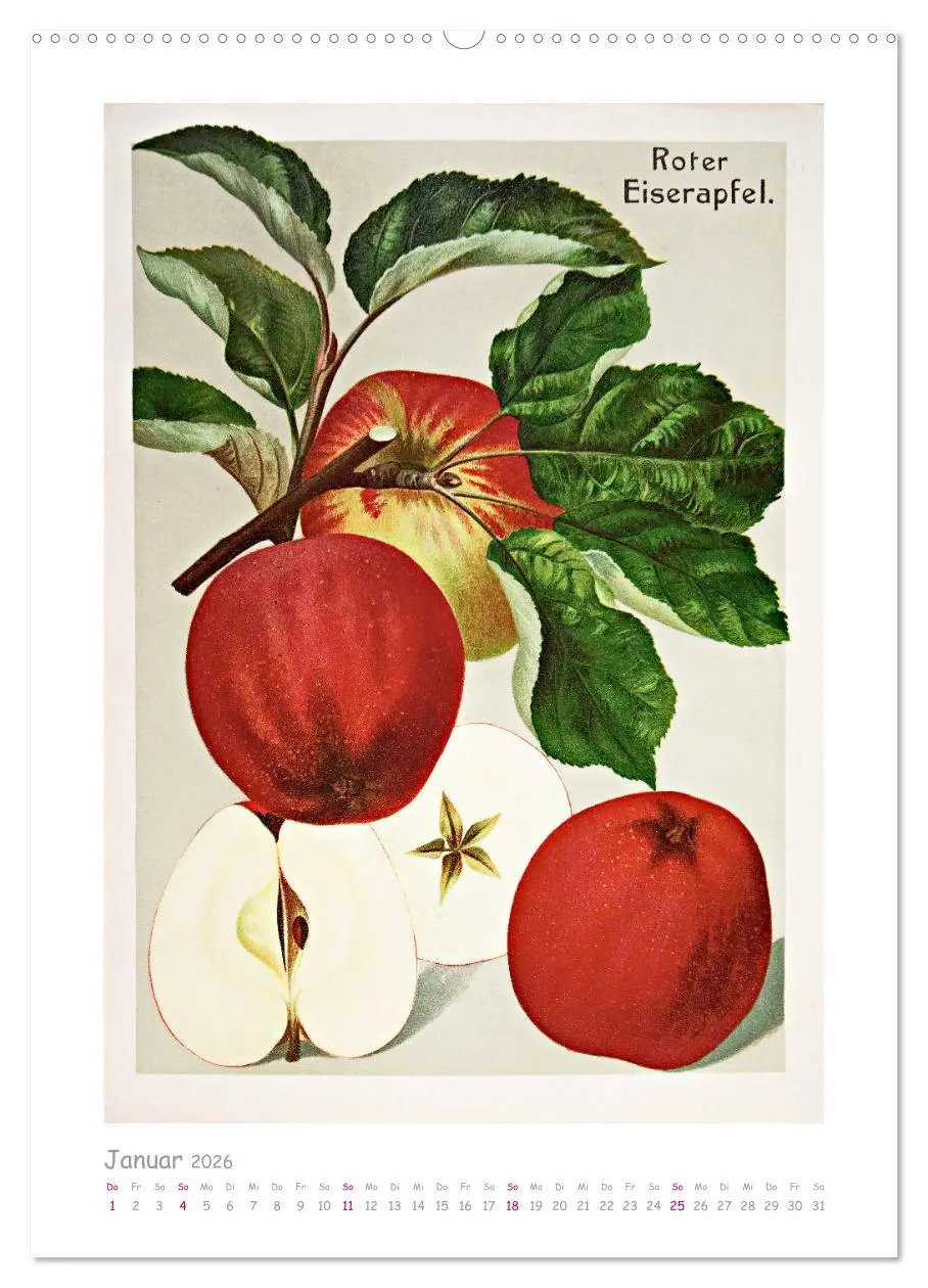 Bild: 9783516401462 | Äpfel/Appels. Alte ostfriesische Sorten (hochwertiger Premium...