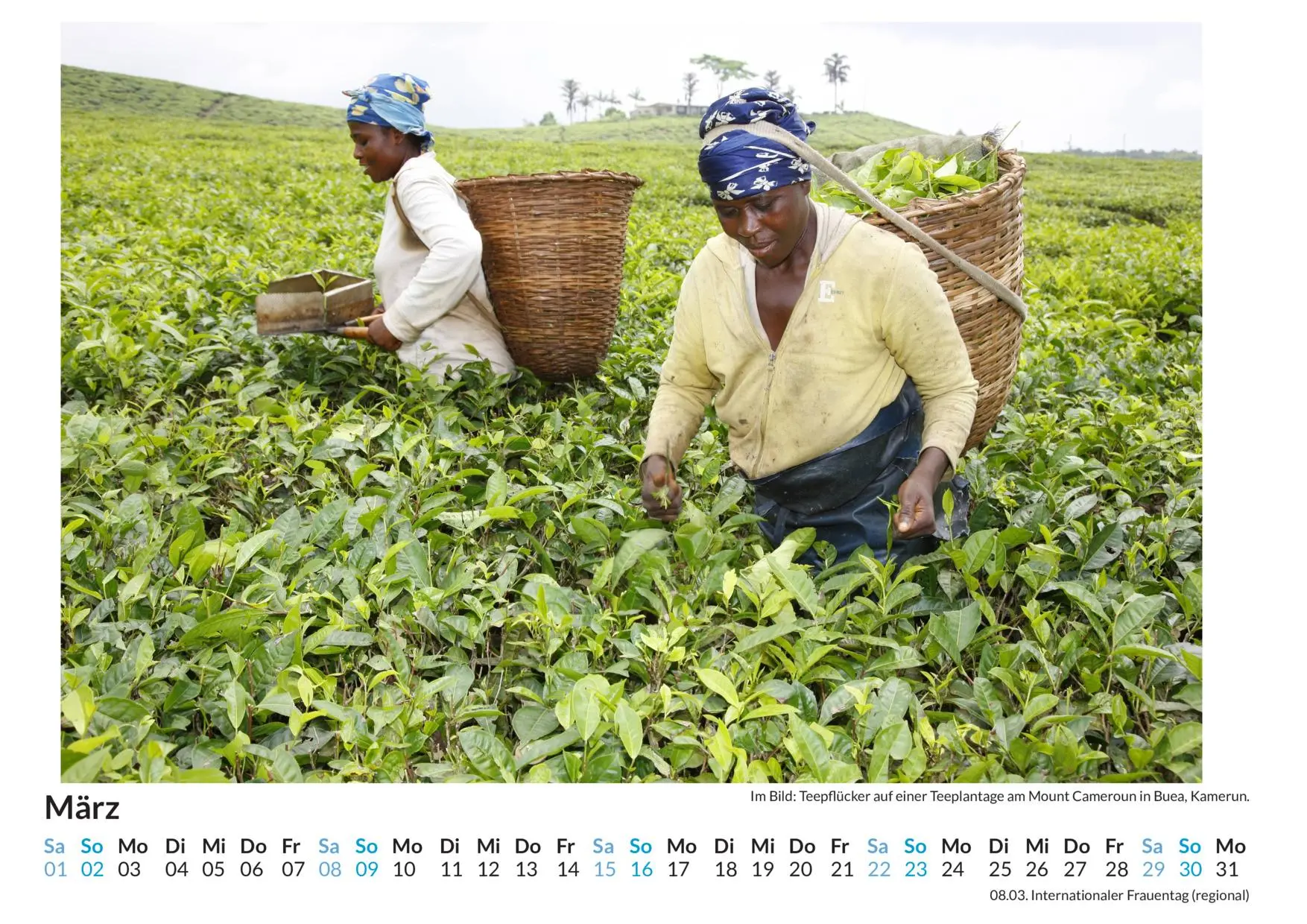 Bild: 9783759121462 | Kamerun - (Wandkalender 2025, Kalender DIN A4 quer, Monatskalender...