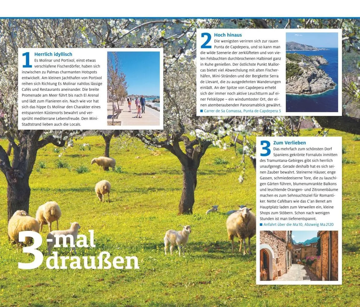 Bild: 9783986451462 | ADAC Reiseführer Mallorca | Jens van Rooij (u. a.) | Taschenbuch