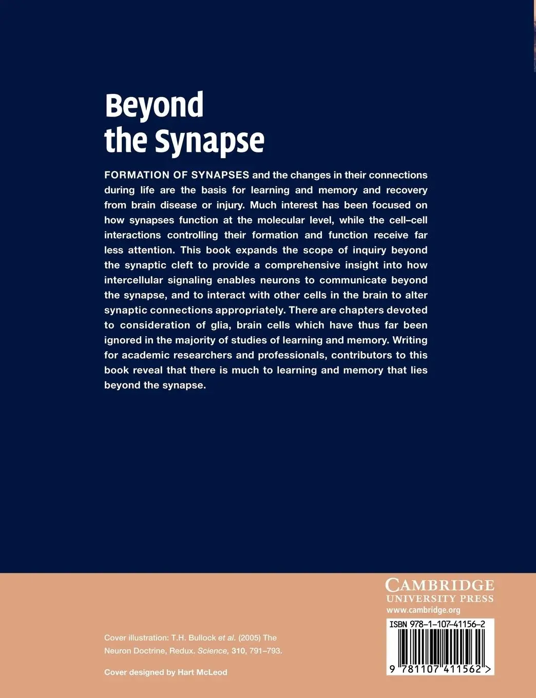 Rückseite: 9781107411562 | Beyond the Synapse | R. Douglas Fields | Taschenbuch | Englisch | 2012