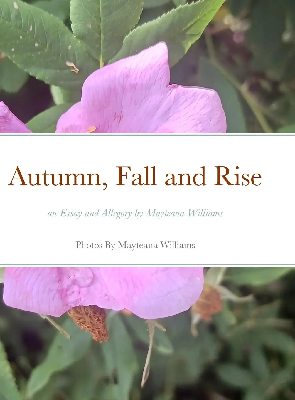 Cover: 9781312341562 | Autumn, Fall and Rise an Essay and Allegory by Mayteana Williams