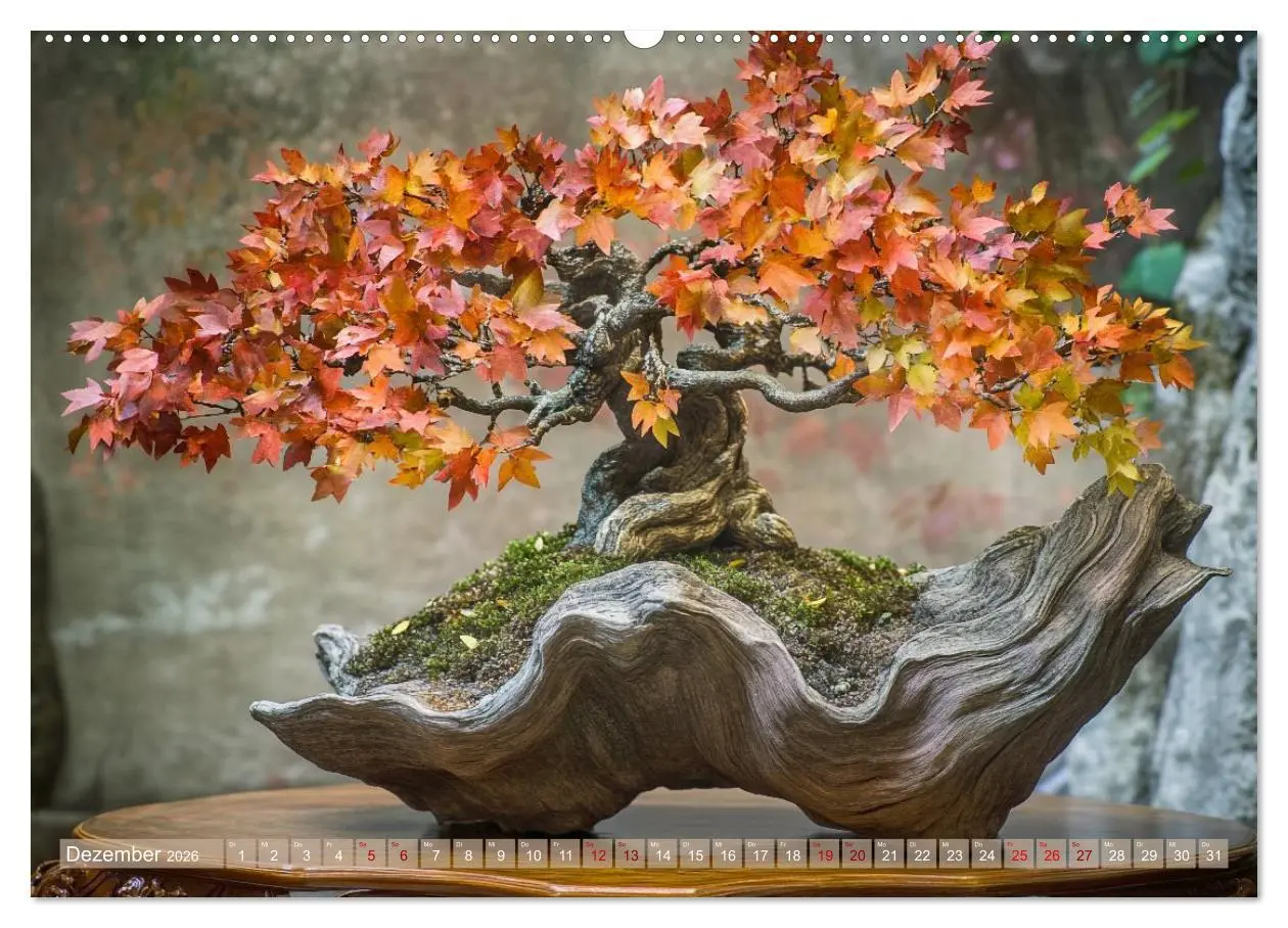 Bild: 9783457301562 | Bonsai, die formvollendete Kunst (Wandkalender 2026 DIN A2 quer),...