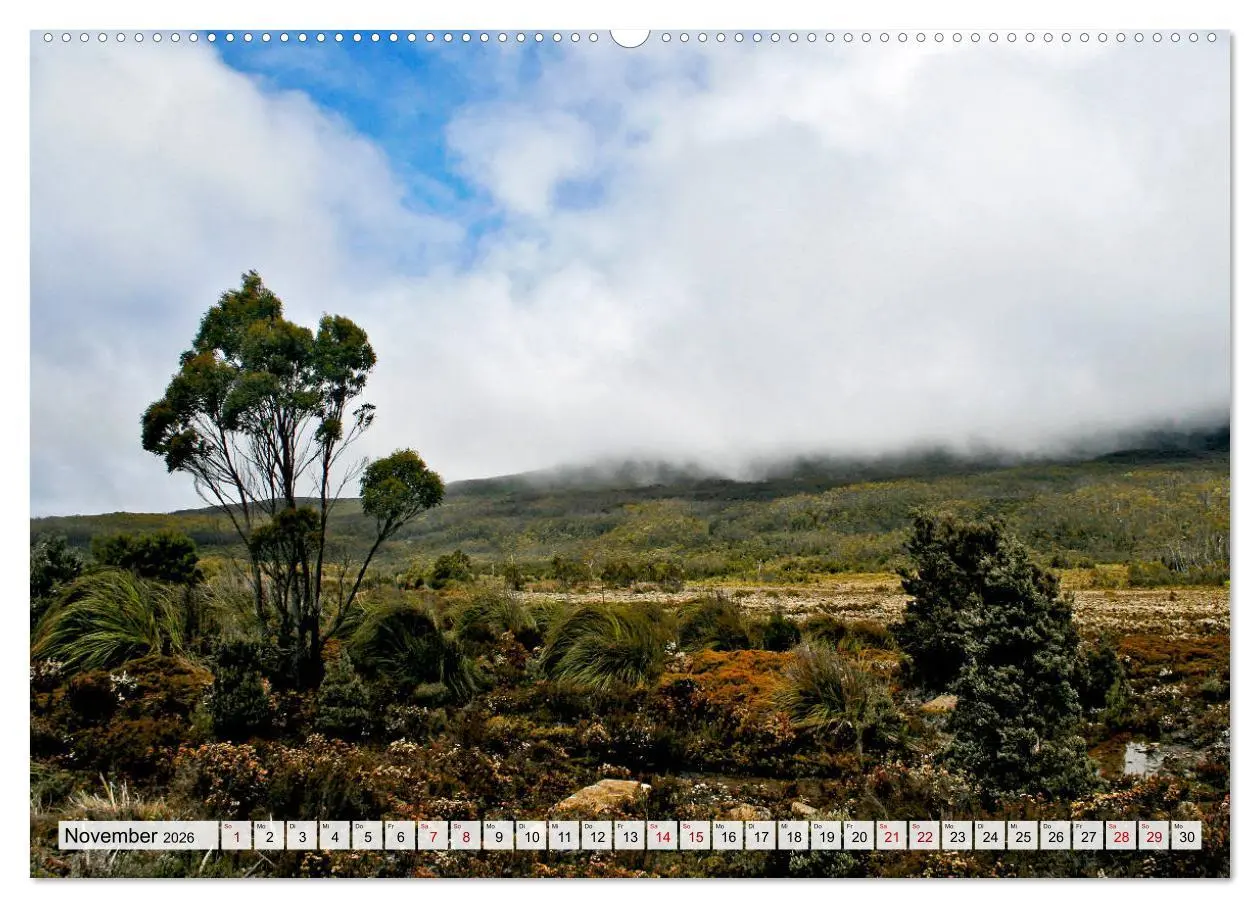 Bild: 9783457851562 | Inselschönheit Tasmanien (Wandkalender 2026 DIN A2 quer), CALVENDO...