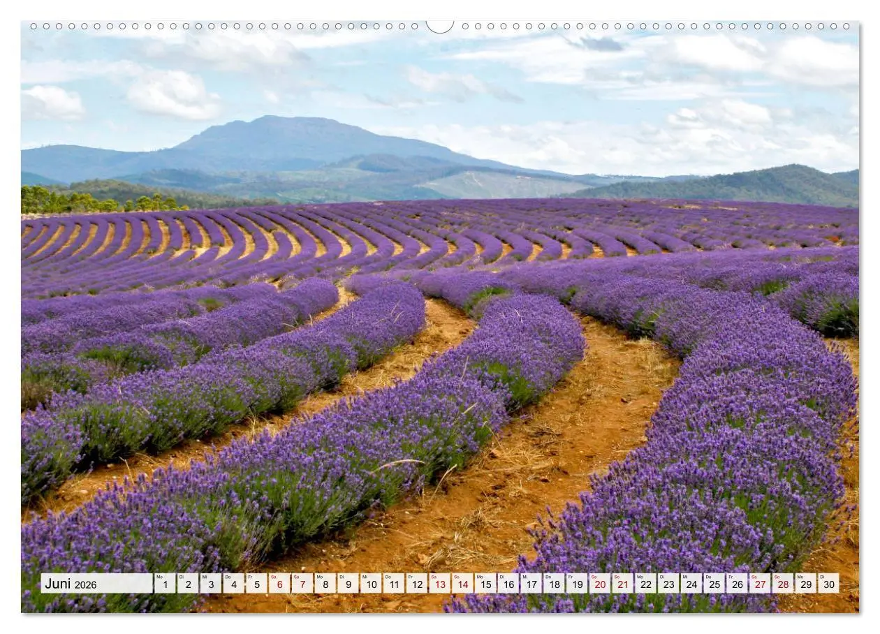 Bild: 9783457851562 | Inselschönheit Tasmanien (Wandkalender 2026 DIN A2 quer), CALVENDO...