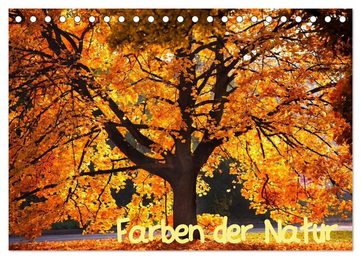 Cover: 9783516181562 | Farben der Natur (Tischkalender 2026 DIN A5 quer), CALVENDO...
