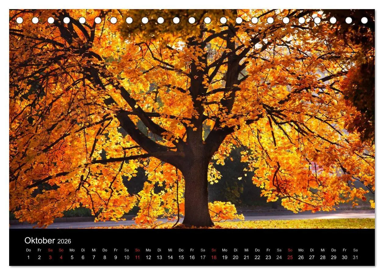 Bild: 9783516181562 | Farben der Natur (Tischkalender 2026 DIN A5 quer), CALVENDO...