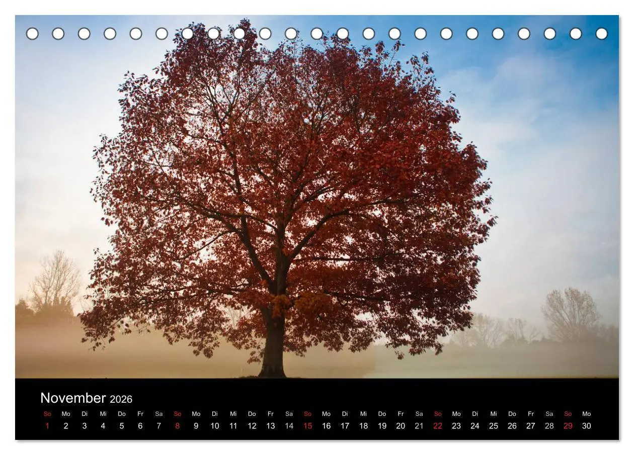Bild: 9783516181562 | Farben der Natur (Tischkalender 2026 DIN A5 quer), CALVENDO...