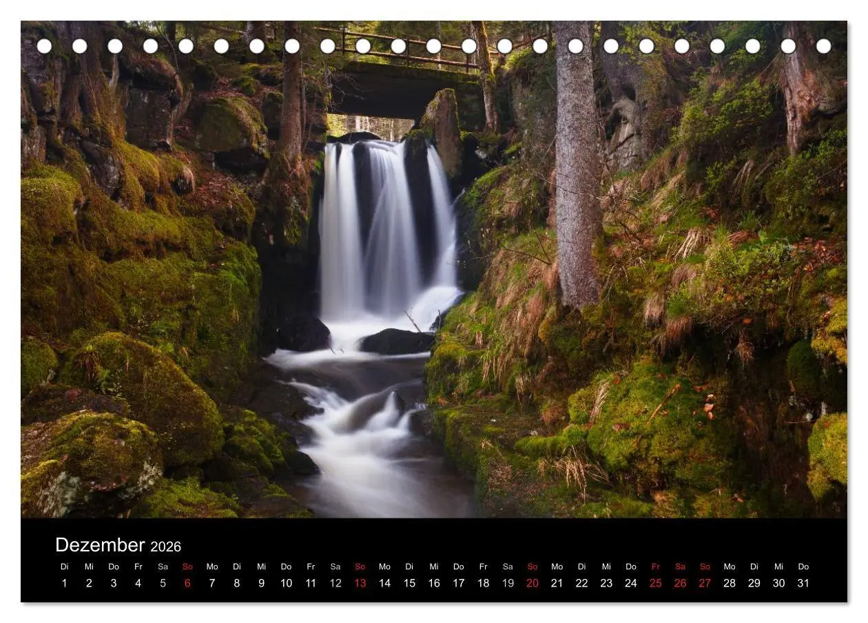 Bild: 9783516181562 | Farben der Natur (Tischkalender 2026 DIN A5 quer), CALVENDO...