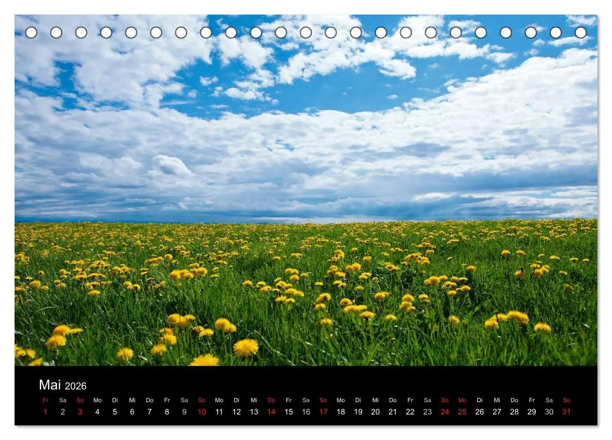 Bild: 9783516181562 | Farben der Natur (Tischkalender 2026 DIN A5 quer), CALVENDO...