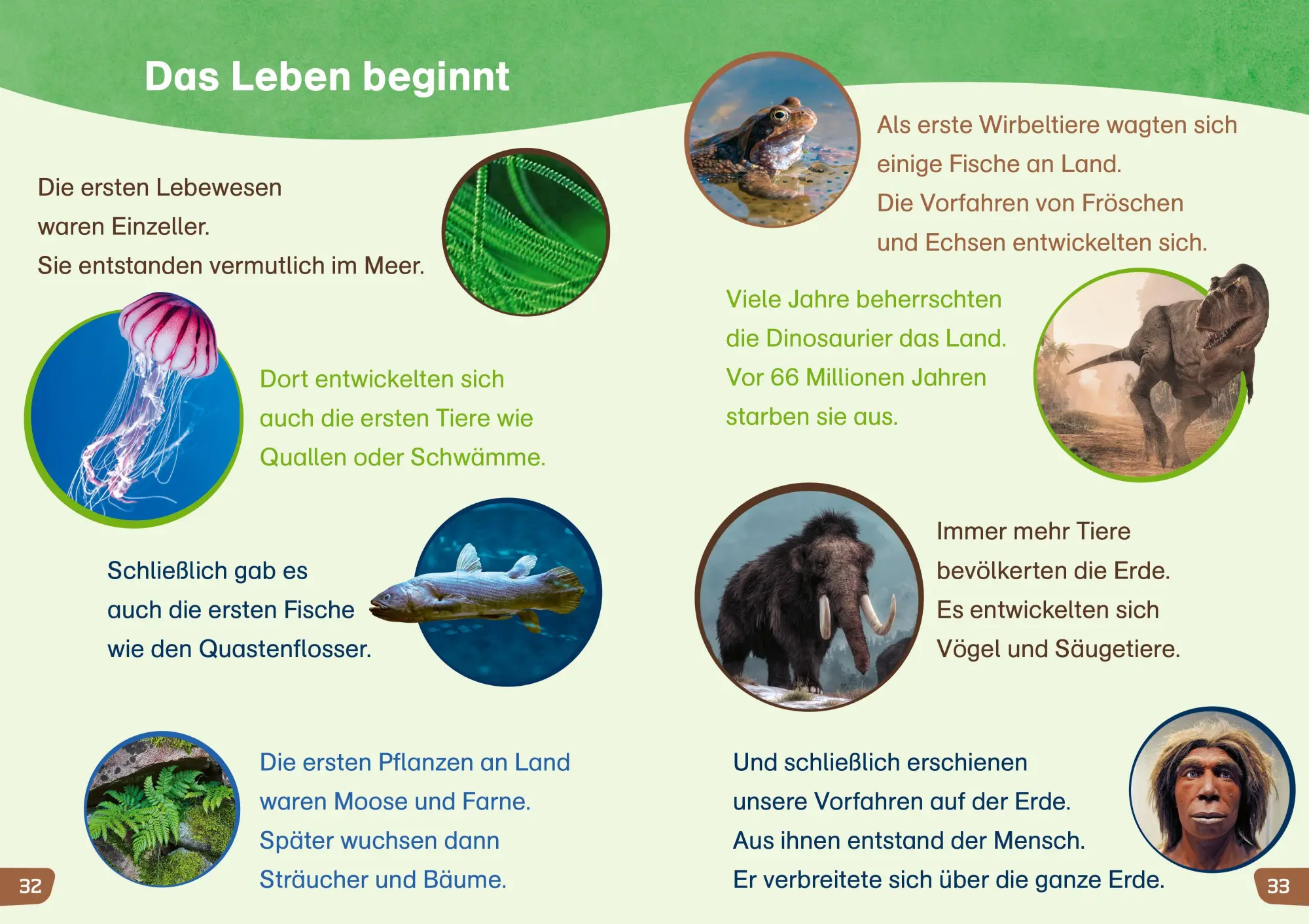 Bild: 9783788681562 | WAS IST WAS Erstes Lesen easy! Entdecke unsere Erde | Meierjürgen